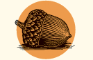 Peachey Process Icons acorn