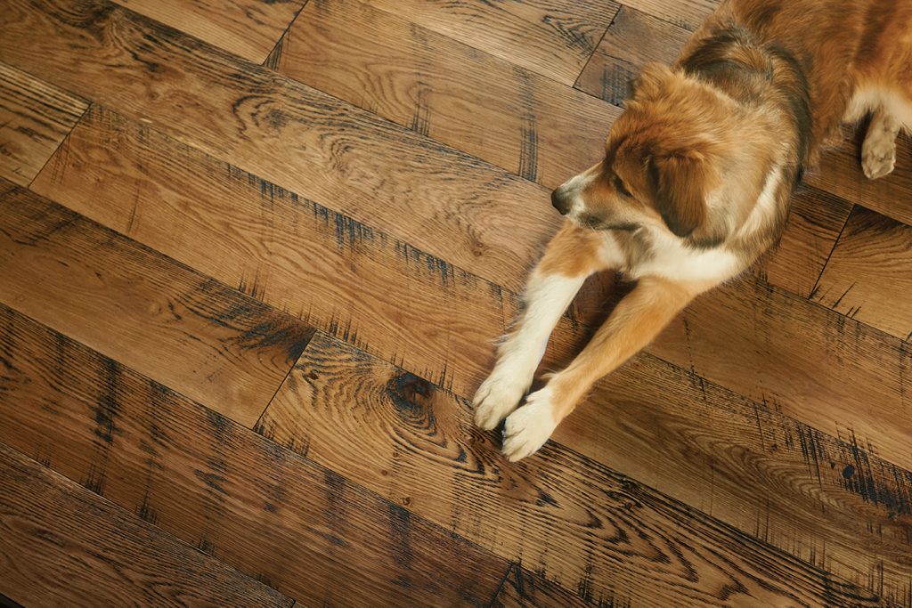 White Oak, Skip Planed, Wire Brushed, Oak Lodge - dog