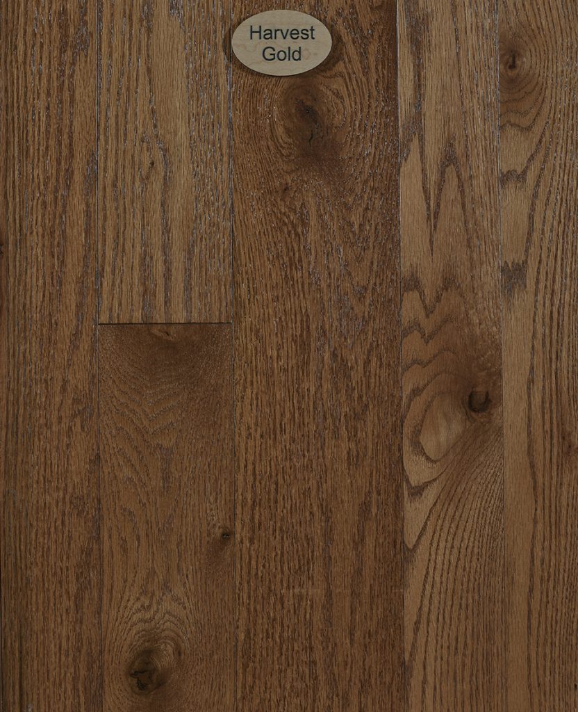 Red Oak, Natural Character, Harvest Gold Stain