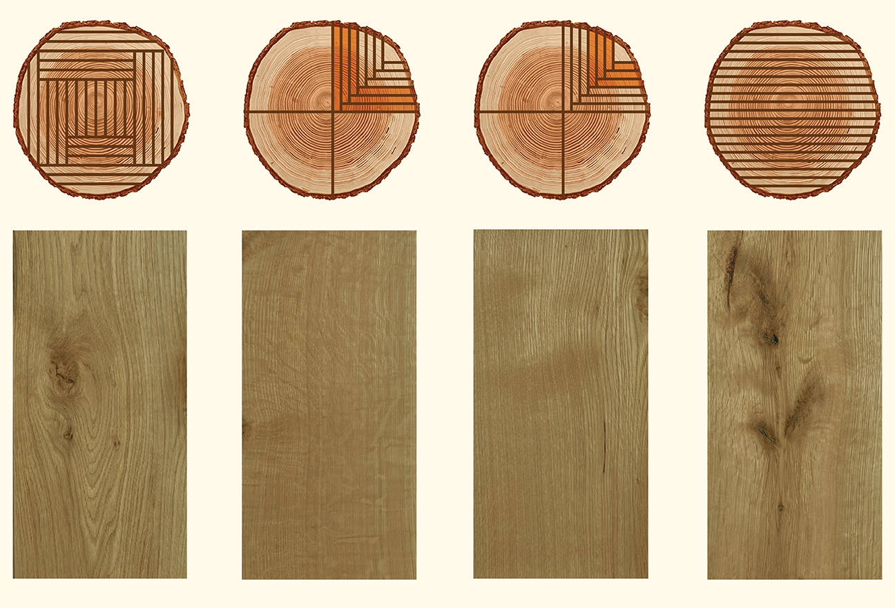 log and board cut representation